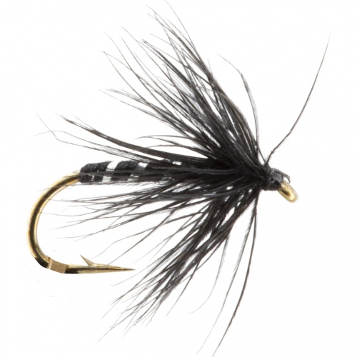 The Essential Fly Black Midge Wet Fishing Fly
